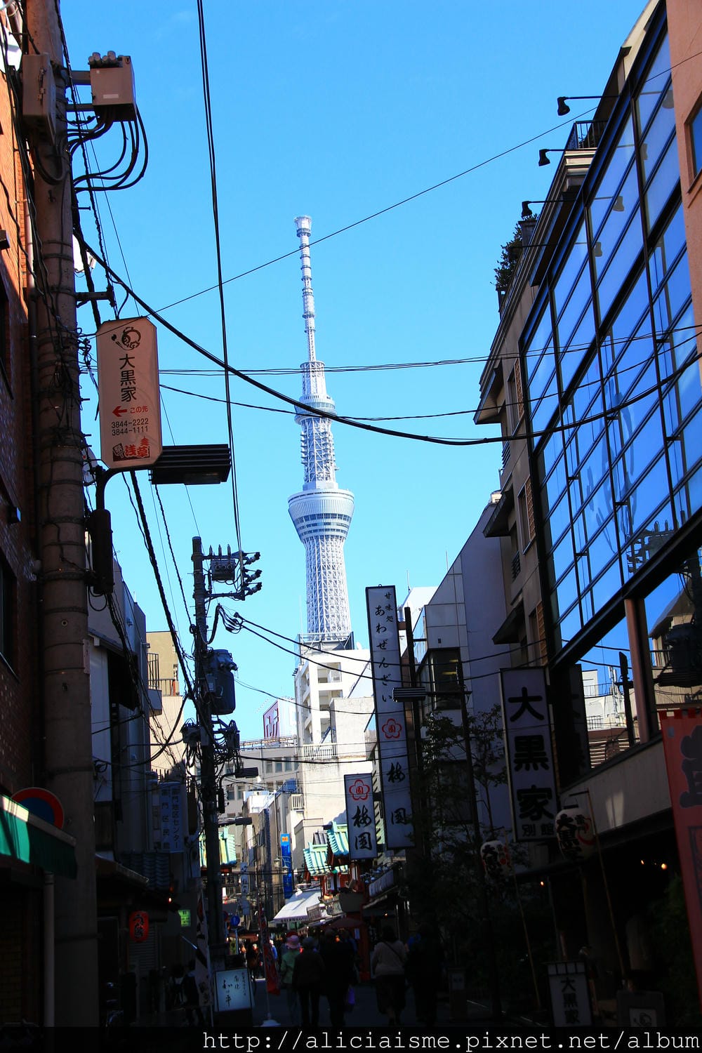 IMG_6537 IMG_6537