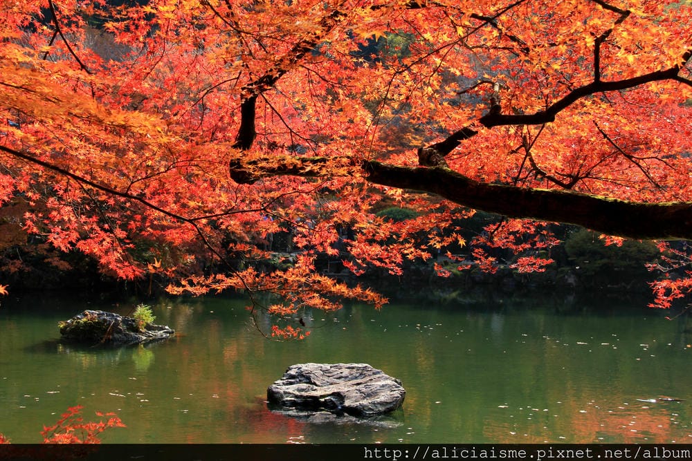 IMG_2939.JPG IMG_2939.JPG