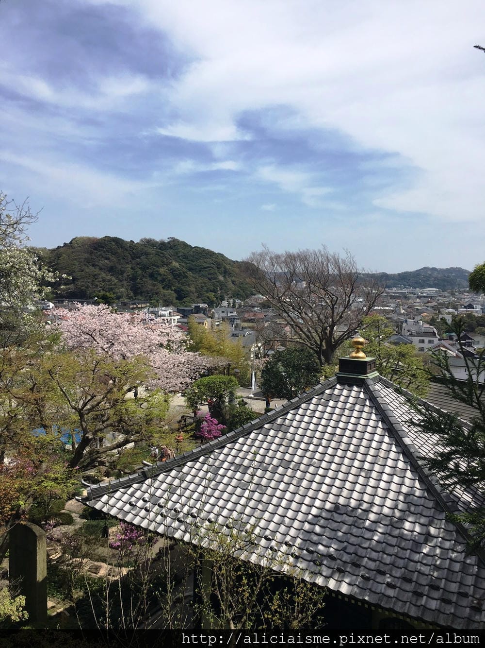 S__39682091.jpg