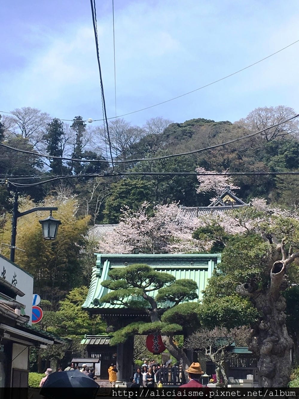 S__39682084.jpg