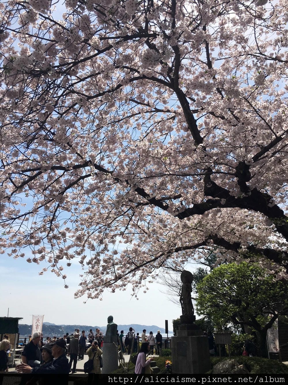 S__39682087.jpg