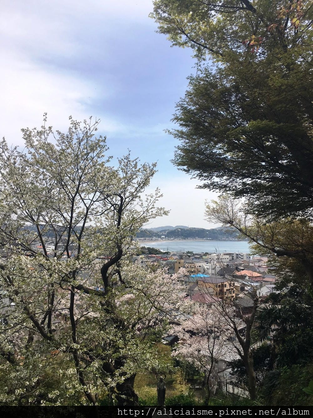S__39682096.jpg