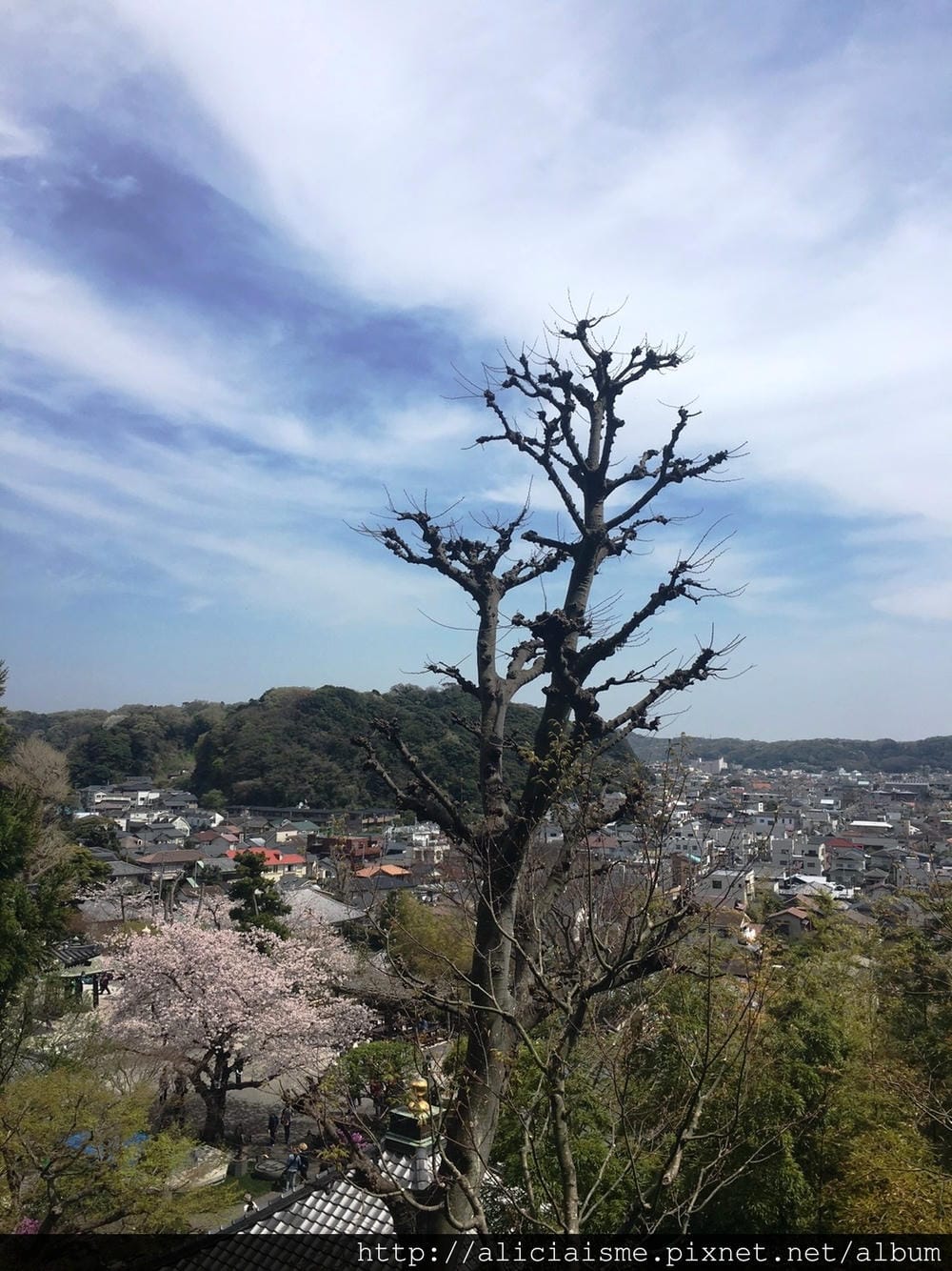 S__39682092.jpg