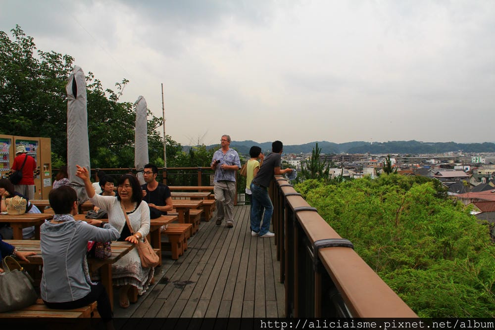 IMG_5051.JPG
