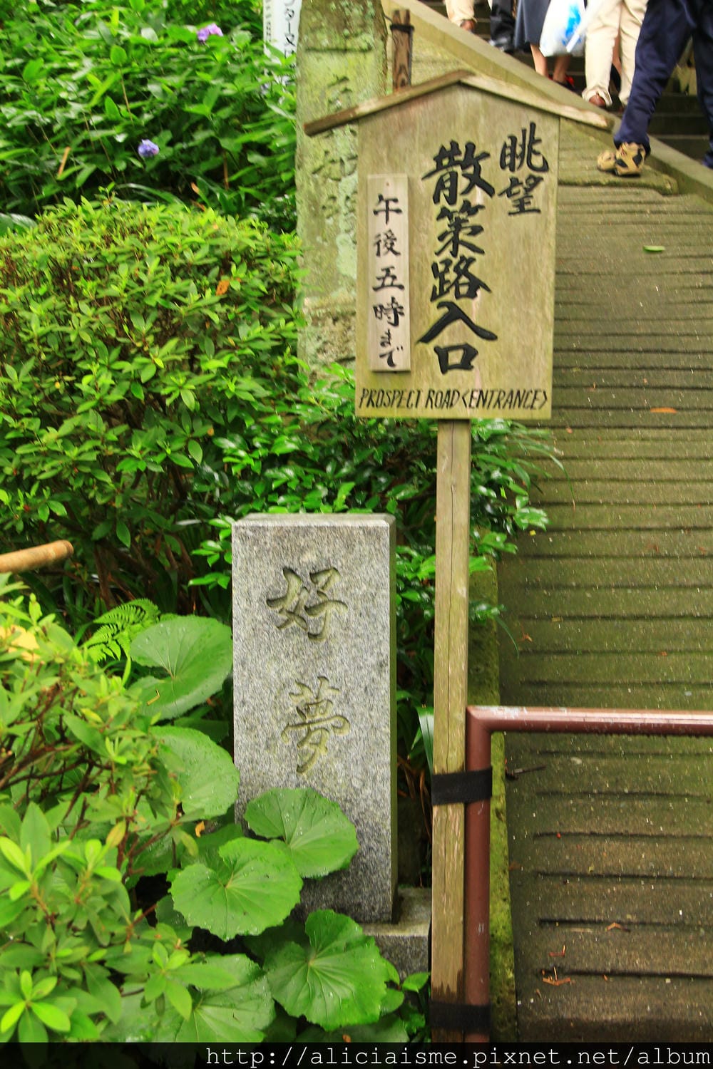 IMG_4856.JPG