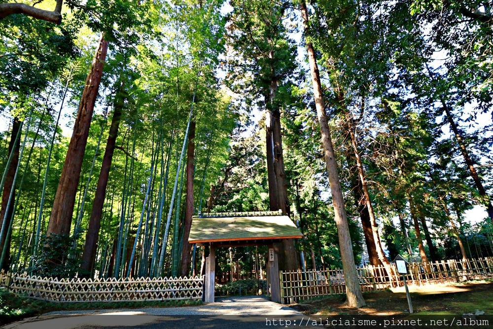 【茨城縣　水戶】偕樂園：日本三大名園、水彩畫作裡的梅之園、四季繽紛花之公園