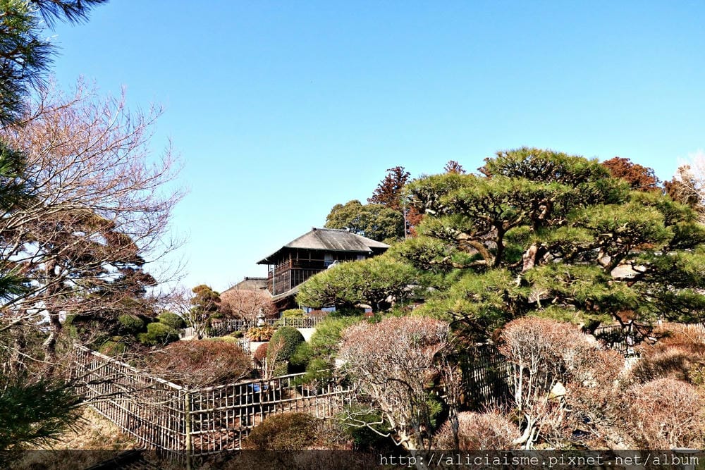 【茨城縣　水戶】偕樂園：日本三大名園、水彩畫作裡的梅之園、四季繽紛花之公園