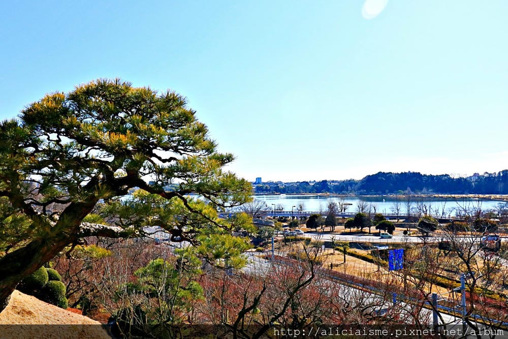 【茨城縣　水戶】偕樂園：日本三大名園、水彩畫作裡的梅之園、四季繽紛花之公園