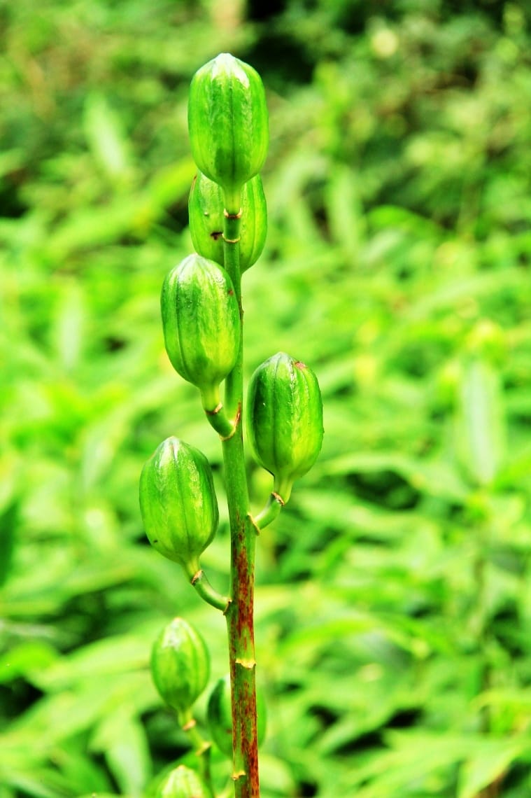 batch_IMG_1715