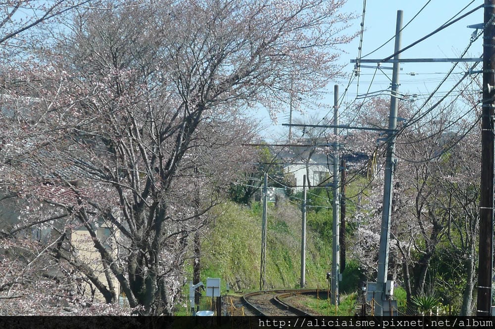 P1100527.JPG P1100527.JPG