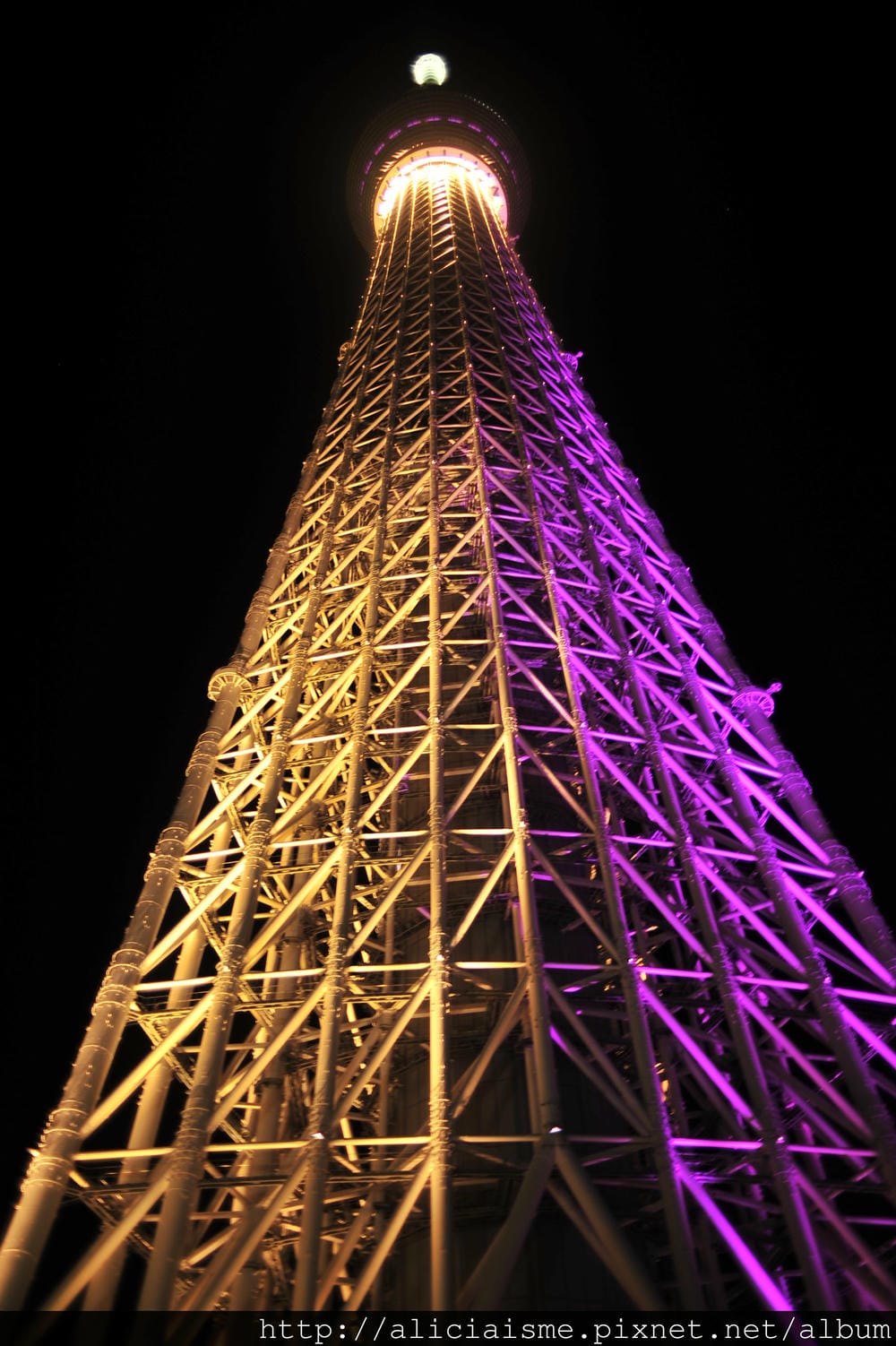 DSC_2874.JPG DSC_2874.JPG