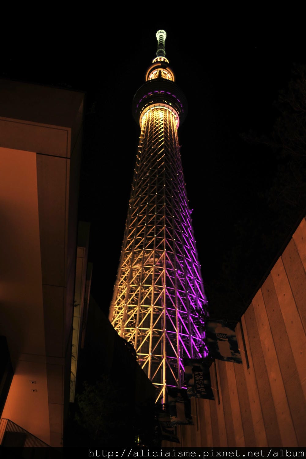 DSC_2888.JPG DSC_2888.JPG