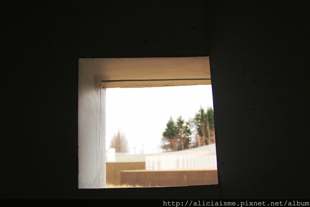 IMG_8559.JPG IMG_8559.JPG