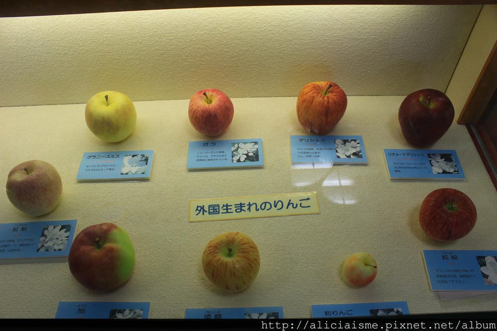 【青森縣】弘前市蘋果公園＆〈KIMORI〉蘋果發泡酒的工房：