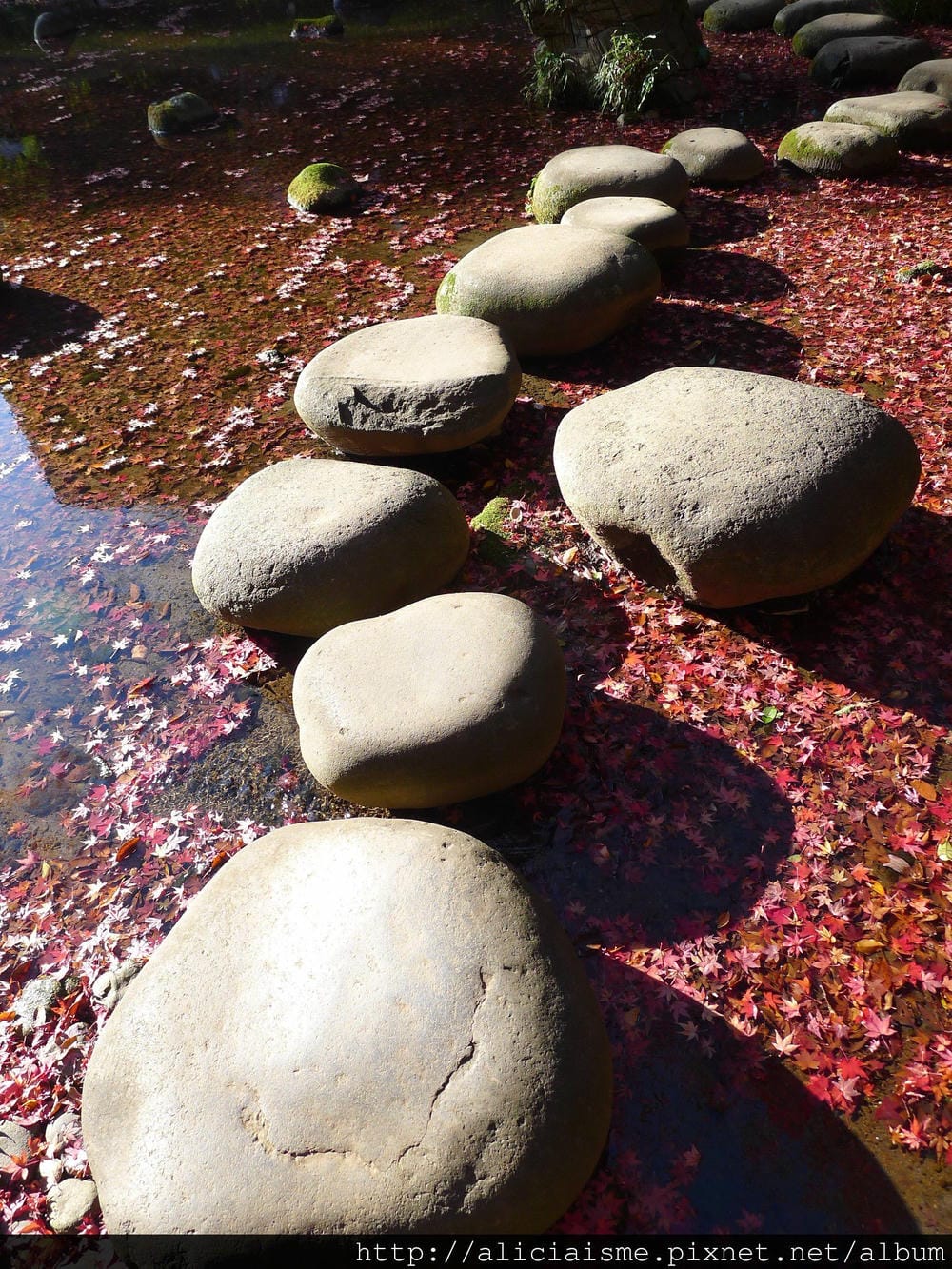P1080230.JPG