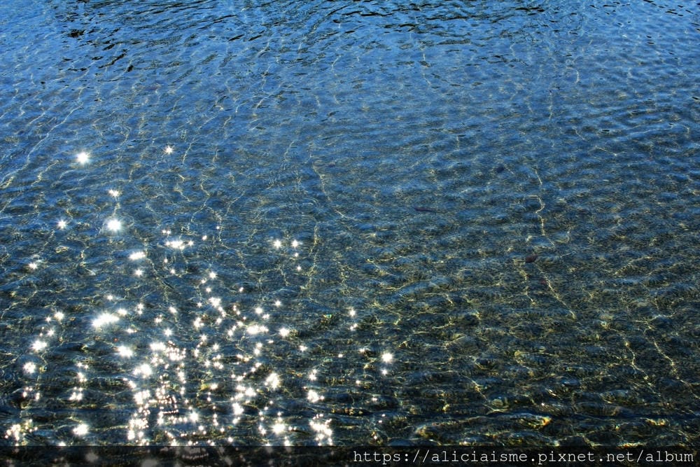 【滋賀縣】佐川美術館~漂浮在水上的美術館、潛入水下的茶室,現代建築下的日本傳統美學原點