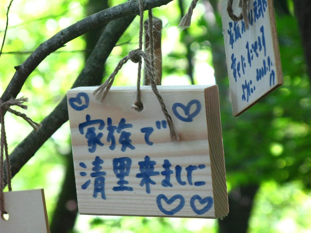 瀑布觀覽之丘 (25).JPG 瀑布觀覽之丘 (25).JPG