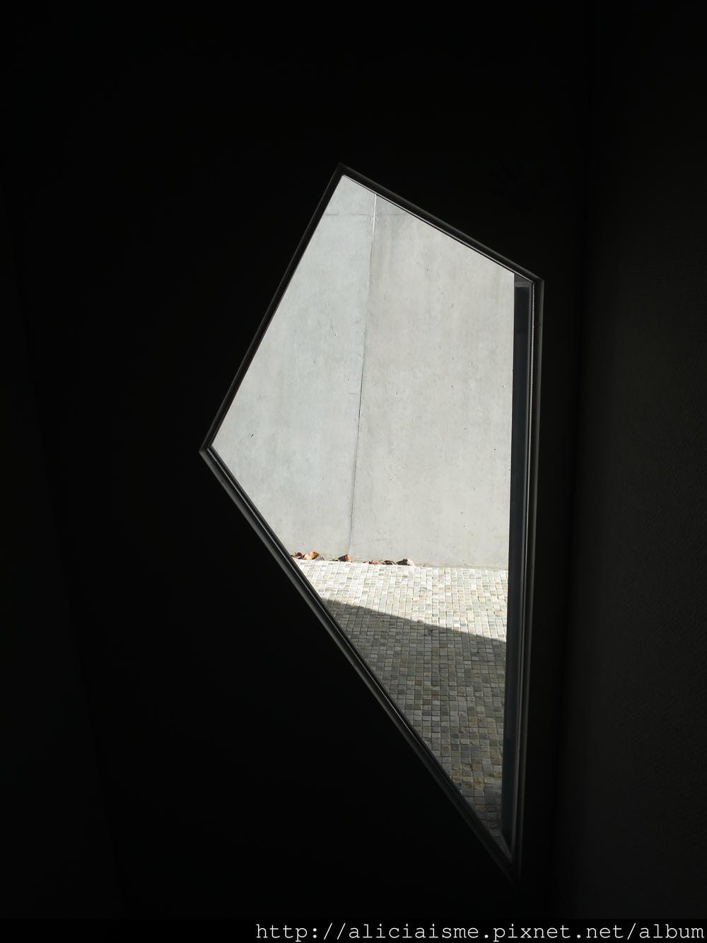 IMG_5649 IMG_5649