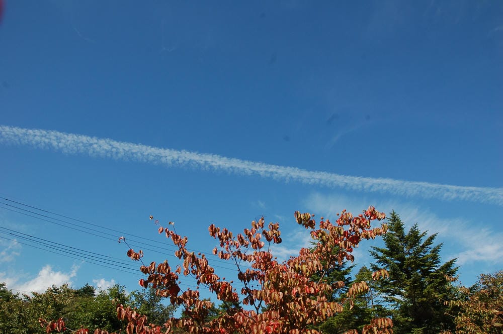 DSC_8225.JPG