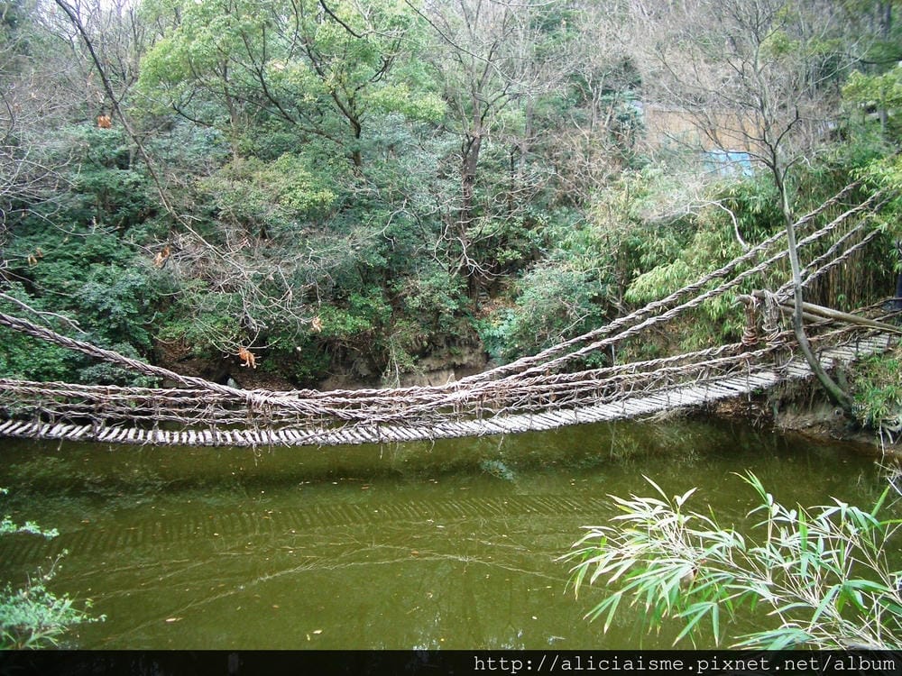 木製吊橋1.JPG