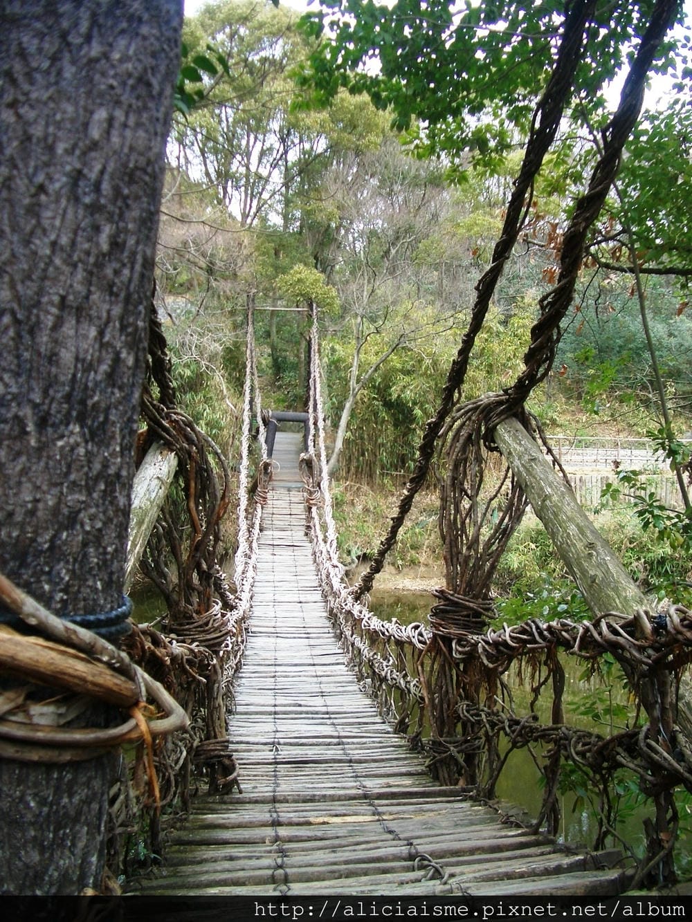 木製吊橋.JPG