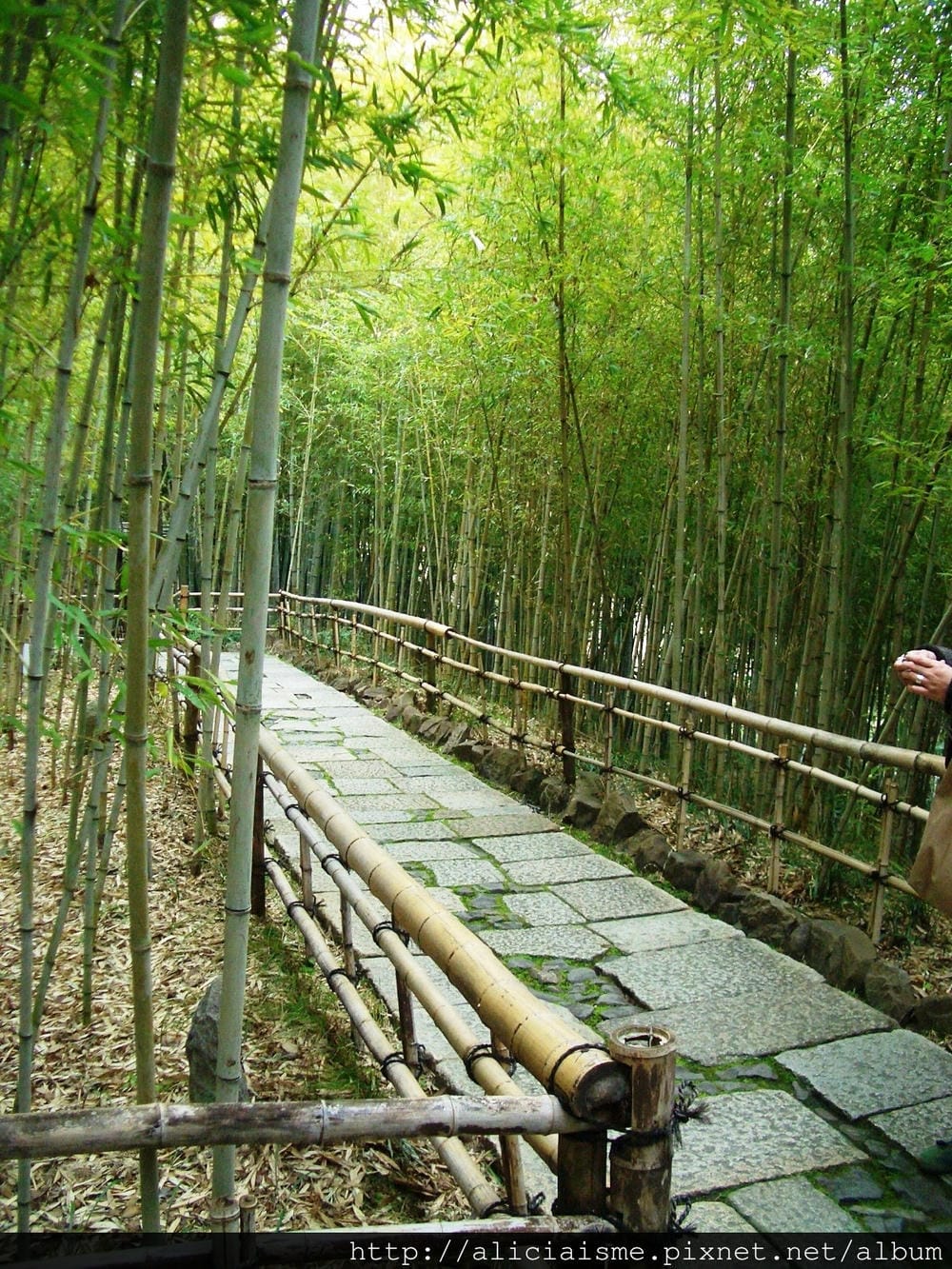 四國村 (4).JPG