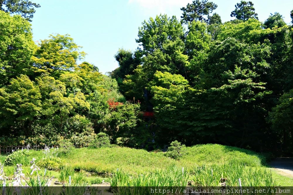 【青森縣 弘前市】藤田紀念庭園 (期間限定開放):東北地方最美的庭園秘境