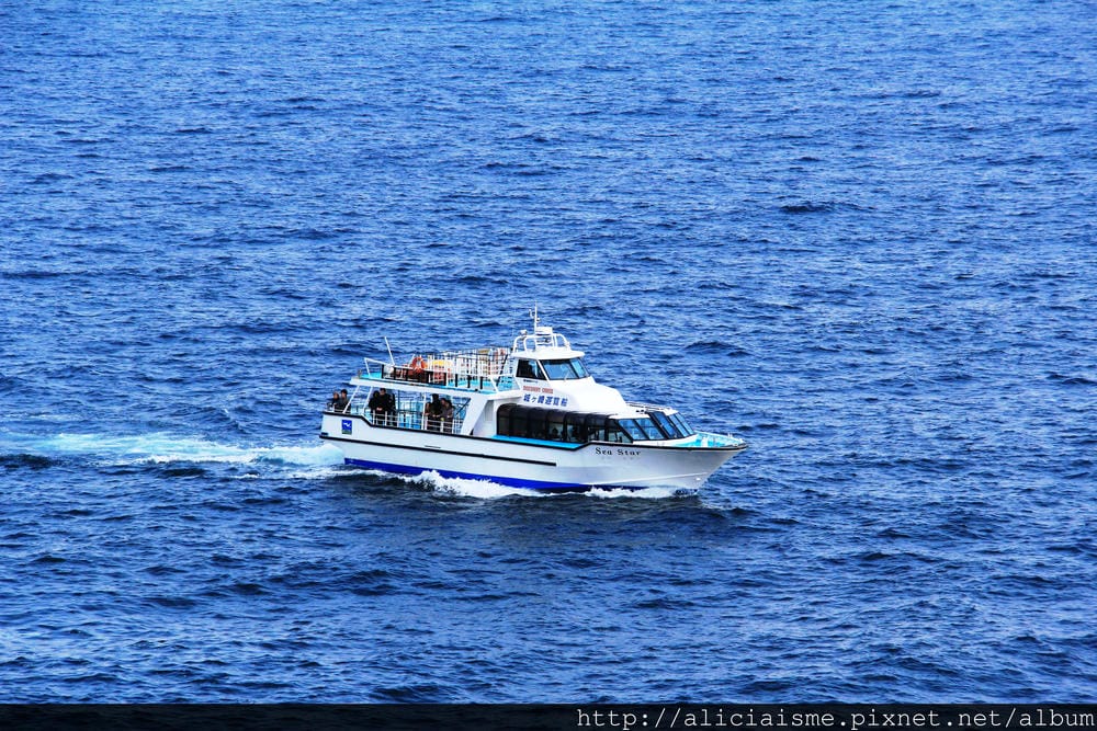 IMG_1775 IMG_1775