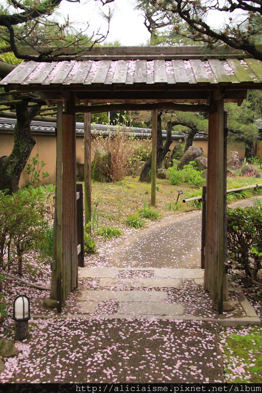 【福岡】參拜勝利之神「筥崎宮」、神苑花庭園,再來對街古民家享 【福岡】參拜勝利之神「筥崎宮」、神苑花庭園,再來對街古民家享