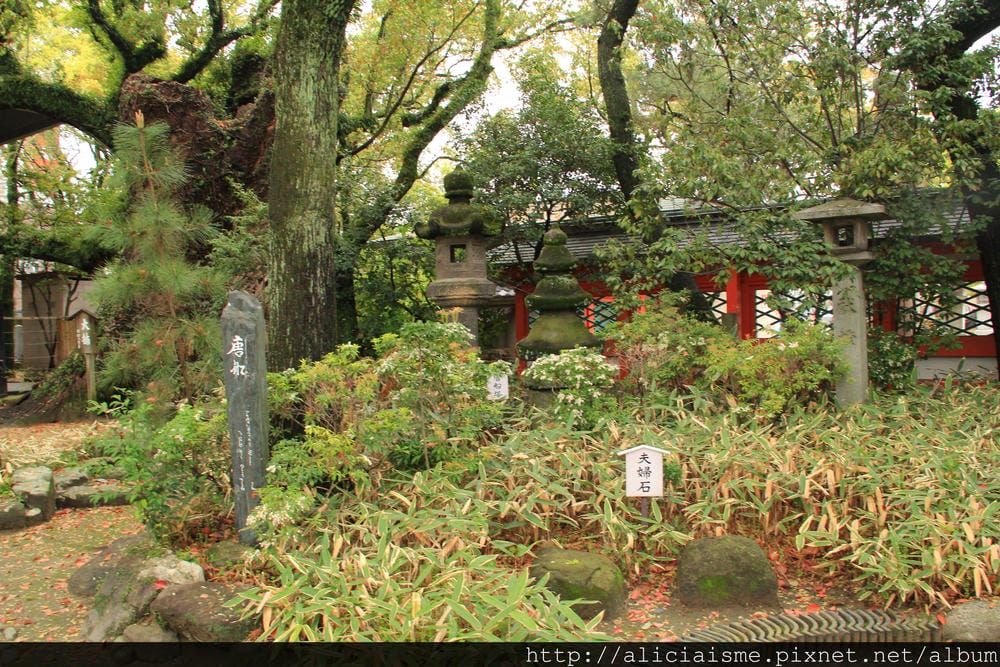 【福岡】參拜勝利之神「筥崎宮」、神苑花庭園,再來對街古民家享 【福岡】參拜勝利之神「筥崎宮」、神苑花庭園,再來對街古民家享