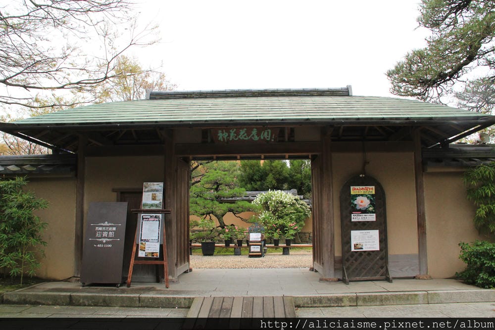 【福岡】參拜勝利之神「筥崎宮」、神苑花庭園,再來對街古民家享 【福岡】參拜勝利之神「筥崎宮」、神苑花庭園,再來對街古民家享