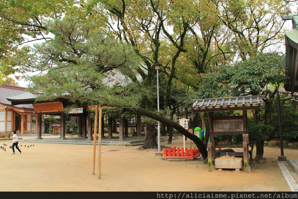 【福岡】參拜勝利之神「筥崎宮」、神苑花庭園，再來對街古民家享