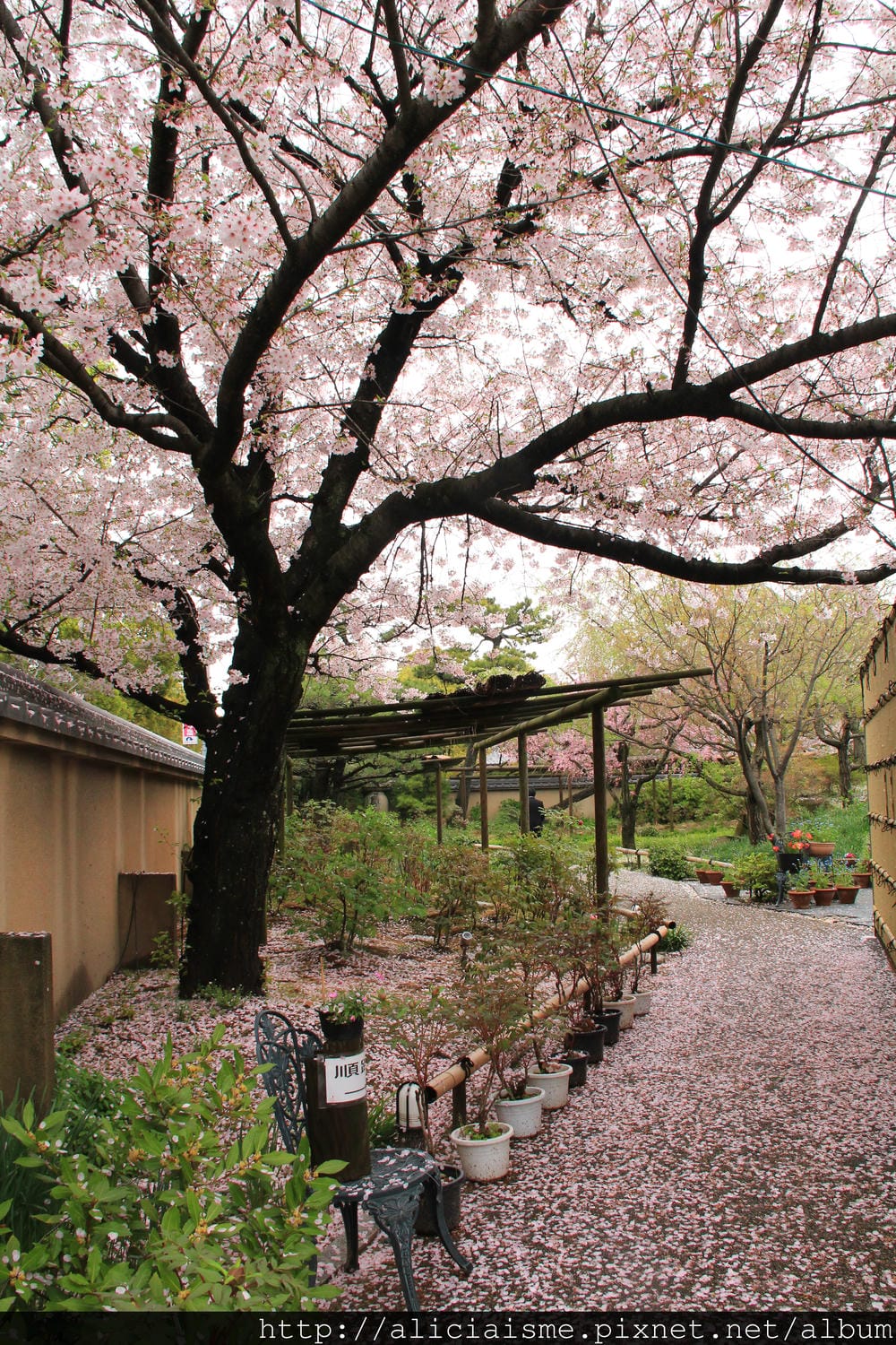 【福岡】參拜勝利之神「筥崎宮」、神苑花庭園,再來對街古民家享 【福岡】參拜勝利之神「筥崎宮」、神苑花庭園,再來對街古民家享