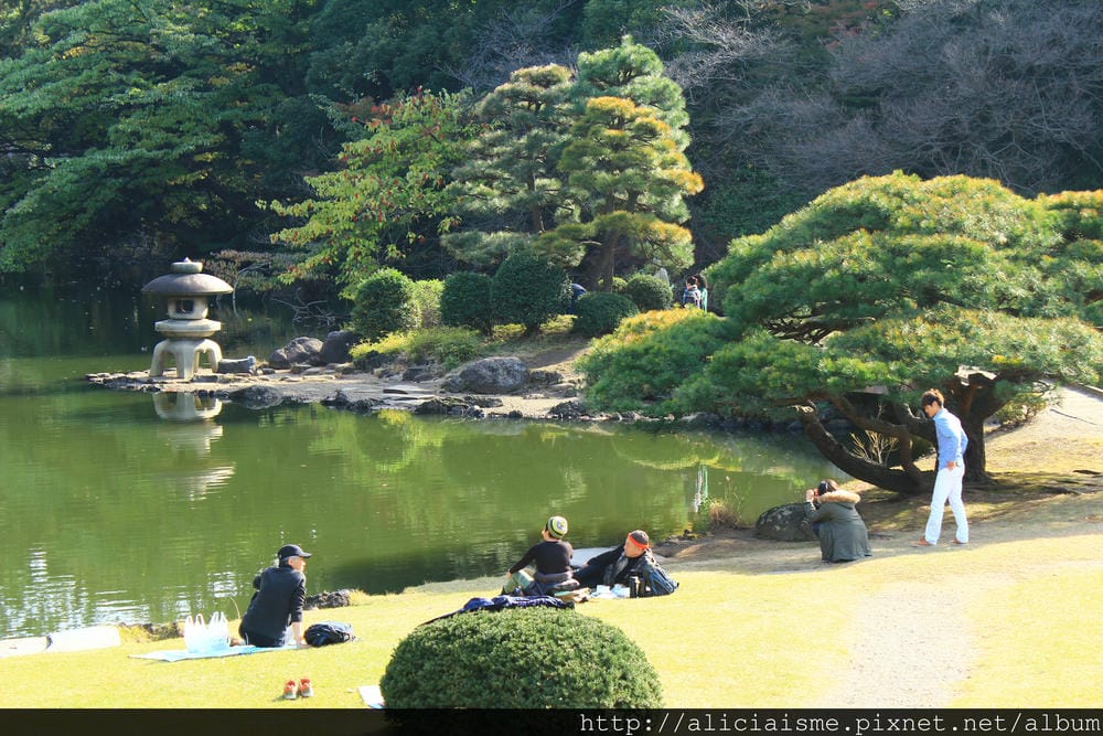 IMG_0269.JPG IMG_0269.JPG