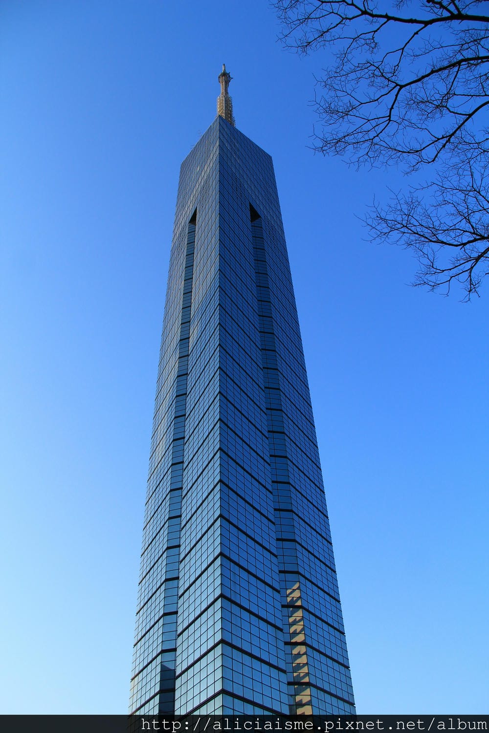 IMG_4899.JPG