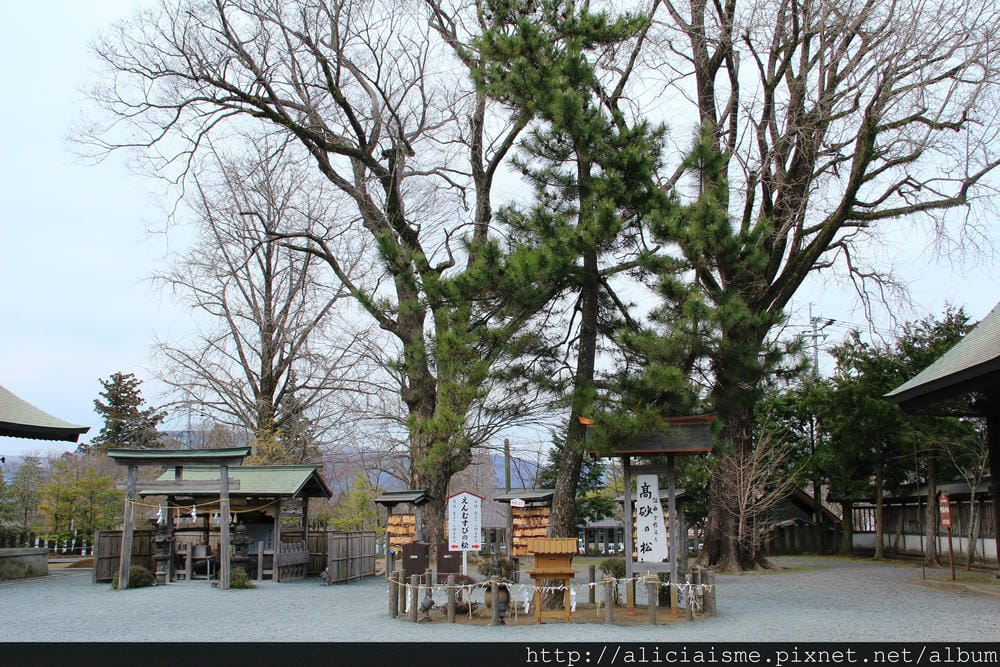 IMG_6614.JPG