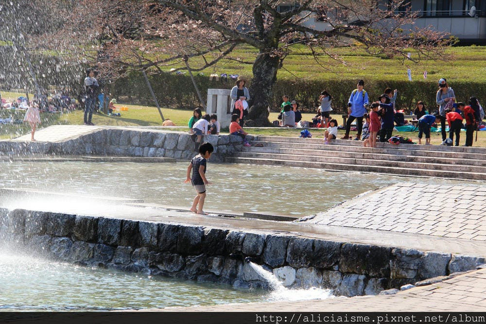 【山口縣】三大名橋、奇橋~錦帶橋及吉香公園