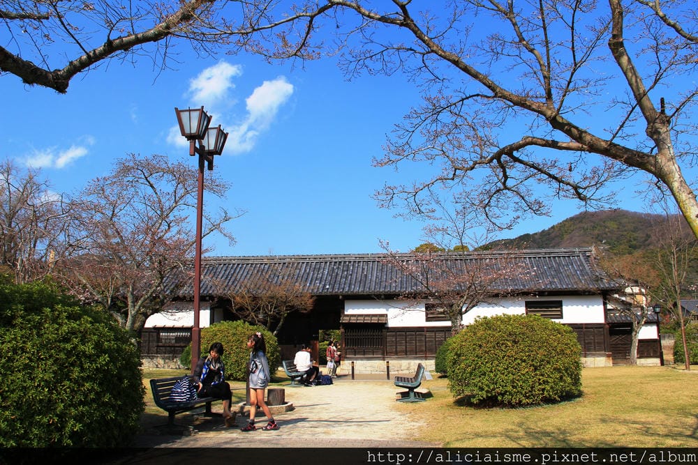 【山口縣】三大名橋、奇橋~錦帶橋及吉香公園