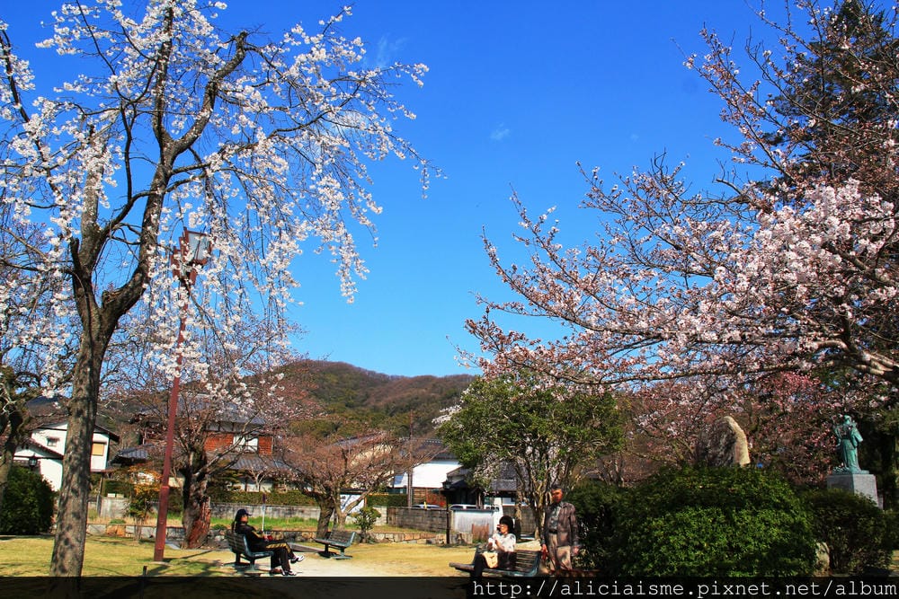 【山口縣】三大名橋、奇橋~錦帶橋及吉香公園