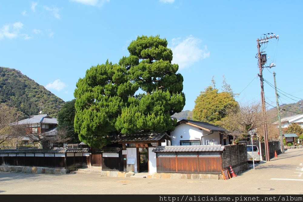 【山口縣】三大名橋、奇橋~錦帶橋及吉香公園
