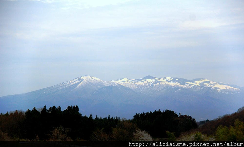 IMG_8779.JPG