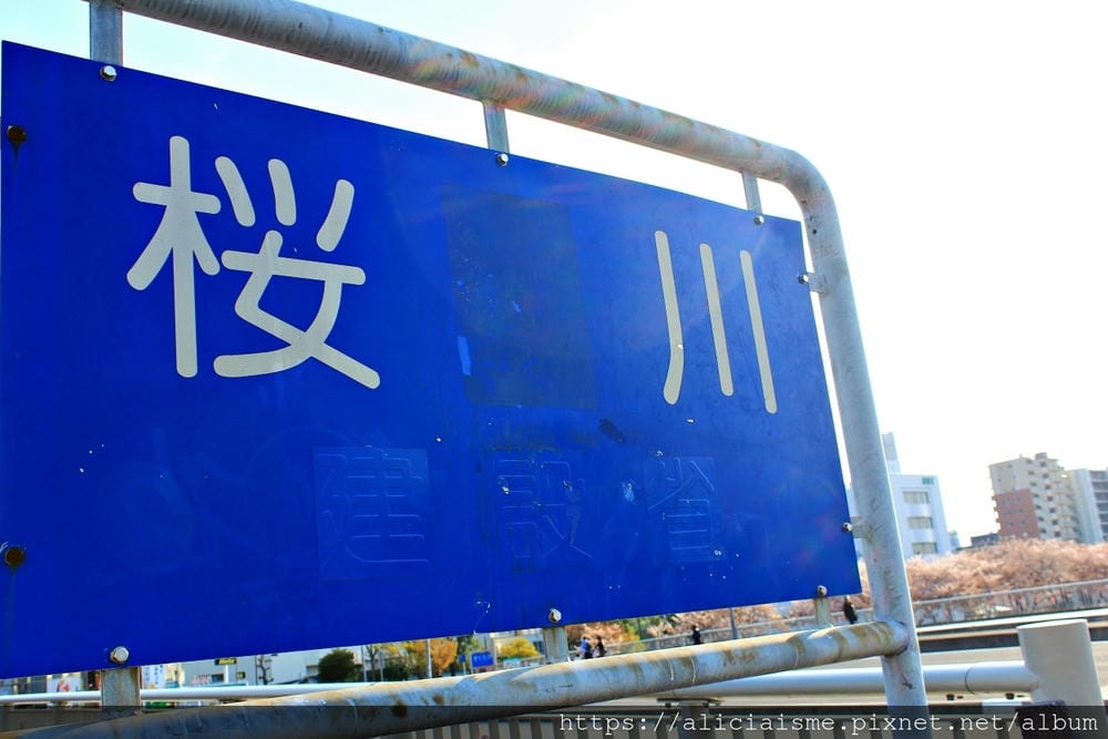 【茨城縣 水戶市】千波湖與櫻川:沿著櫻花川道串起的日本最大級偕樂園公園