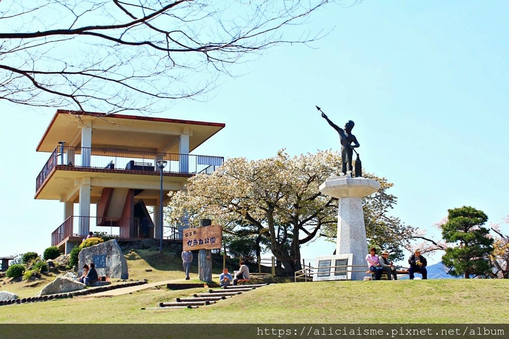 【茨城縣】日立市神峰公園~漂浮在太平洋上的櫻花