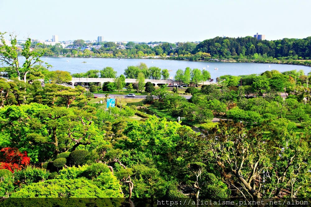 【茨城縣 水戶市】千波湖與櫻川:沿著櫻花川道串起的日本最大級偕樂園公園