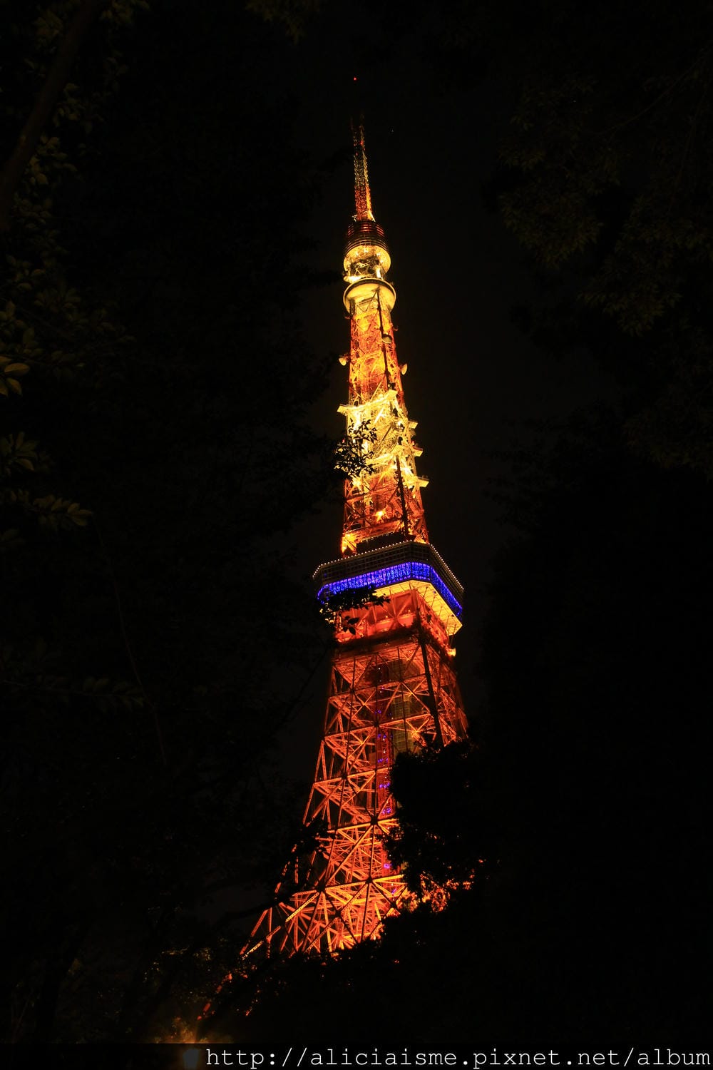 IMG_3880 IMG_3880
