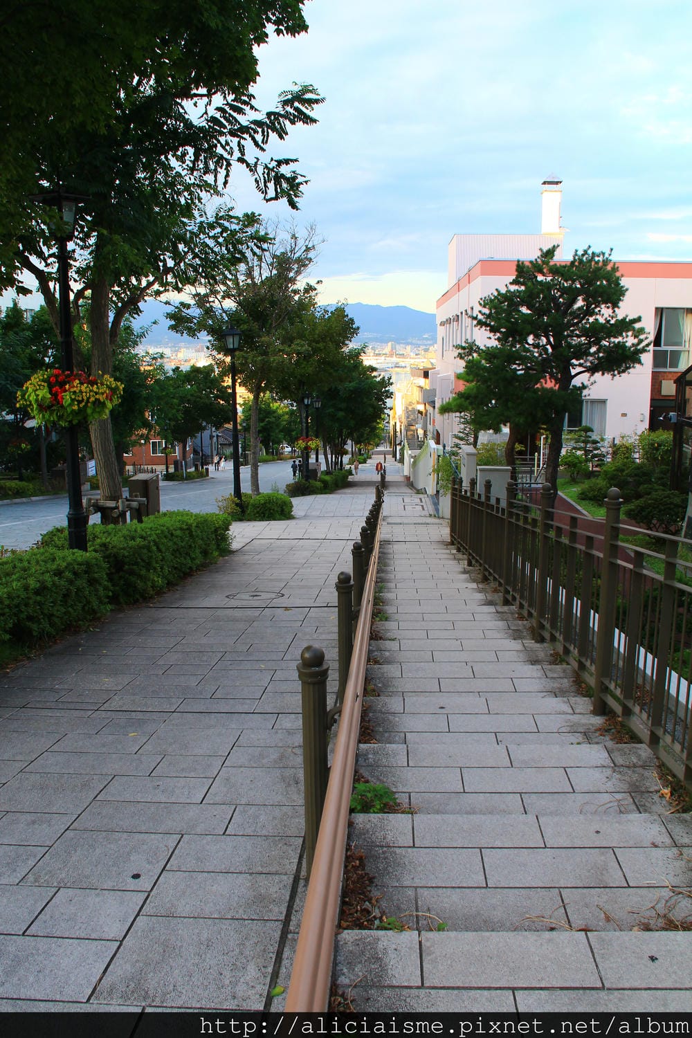 IMG_8749 IMG_8749
