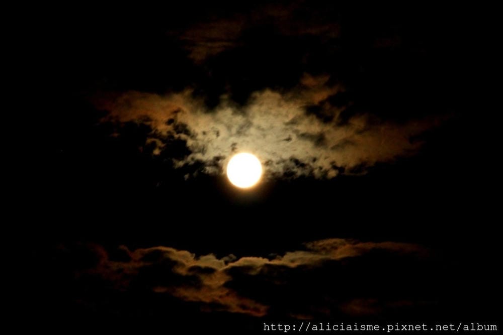 IMG_8870.JPG IMG_8870.JPG