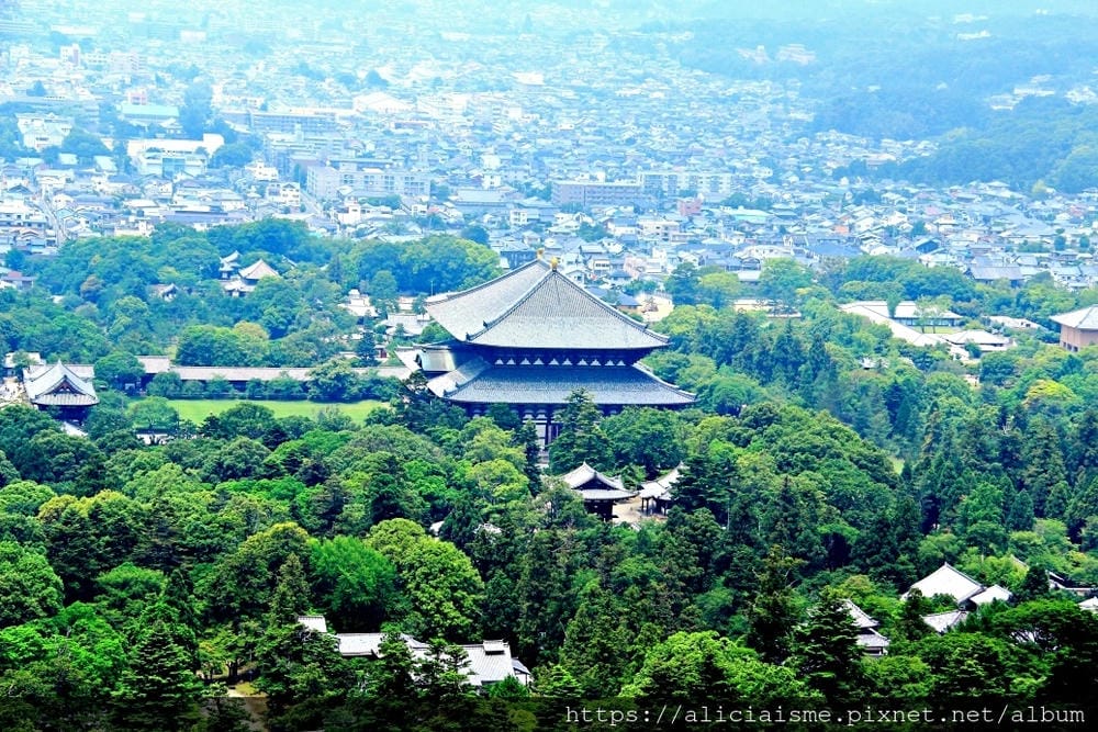 【奈良】若草山~來到鹿男世界眺望奈良市及新三大夜景