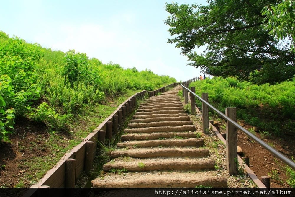 IMG_1904.JPG IMG_1904.JPG