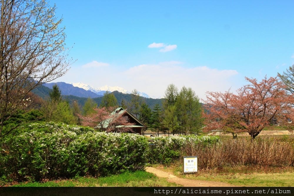 【長野縣 大系線】安曇野知弘美術館~走進阿爾卑斯山為景的繪本 【長野縣 大系線】安曇野知弘美術館~走進阿爾卑斯山為景的繪本